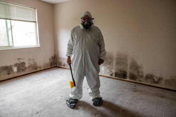 Best Mold Damage Repair  in Milpitas, CA